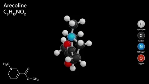 Molecule of Arecoline (C8H13NO2) . Black background. 3d rendering. Stock Footage 287340774