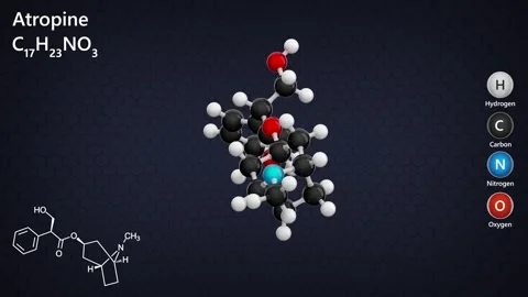 Molecule of Atropine (C17H23NO3). Dark back. 3D render Stock Footage 287340761