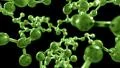 Molecule ball and stick model fly through atoms chemistry biology science, green HD Footage
