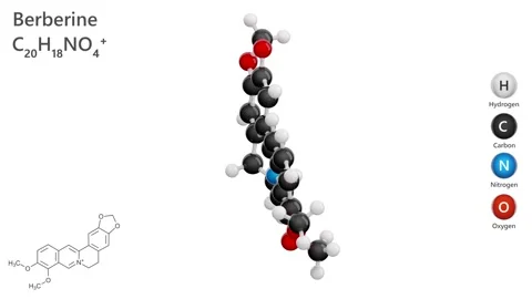 Molecule of Berberine (C19H19NO3). Model: Ball and Stick. White back. 3d render Stock Footage 287340778