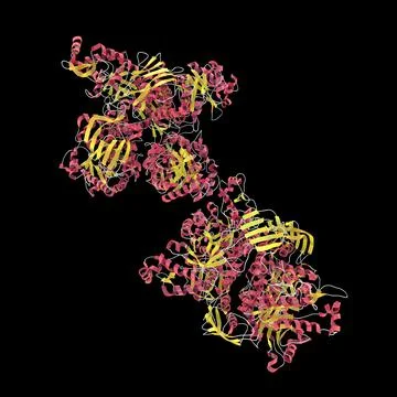 Molecule of beta-hexosaminidase A Stock Illustration