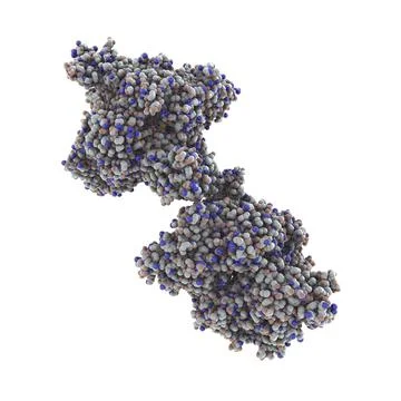 Molecule of beta-hexosaminidase A Stock Illustration
