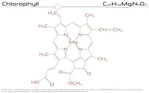 Molecule of Chlorophyll Stock Illustration