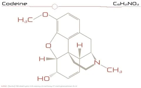 Molecule of Codeine Stock Illustration