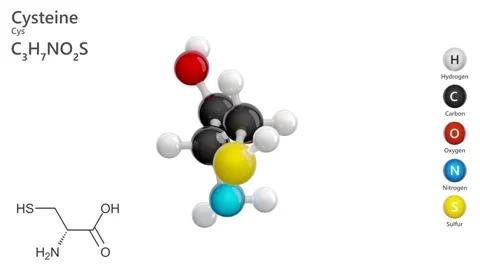 Molecule of Cysteine (C3H7NO2S). White back. 3d render. Video stock 288001502