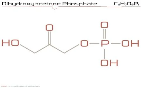 Molecule of Dihydroxyacetone phosphate Stock Illustration