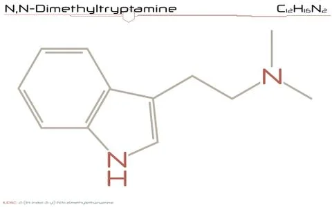 Molecule of Dimethyltryptamine Stock Illustration
