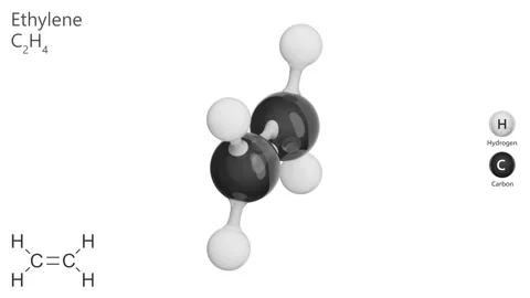 Molecule of Ethylene (C2H4). White back. 3d render Stock Footage 287305603