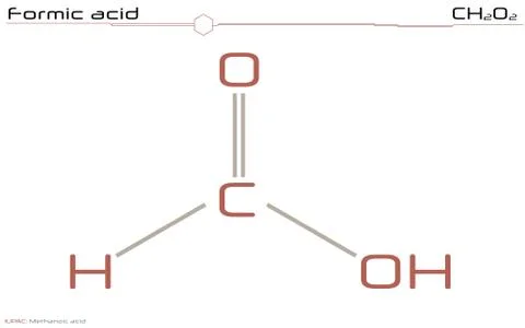 Molecule of Formic acid Stock Illustration