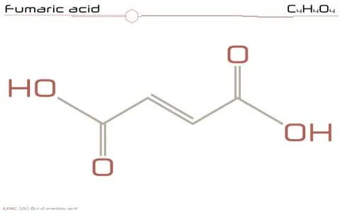 Molecule of Fumaric acid Stock Illustration