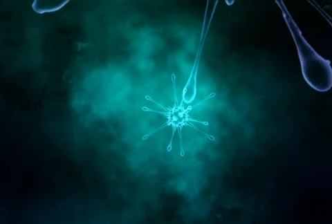 Molecule fx 스톡 동영상 515089