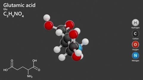 Molecule of Glutamic acid (C5H9NO4). Gray background. 3d rendering Stock-Footage 288001534