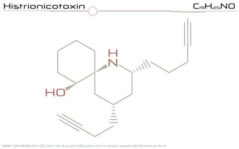 Molecule of Histrionicotoxin Stock Illustration