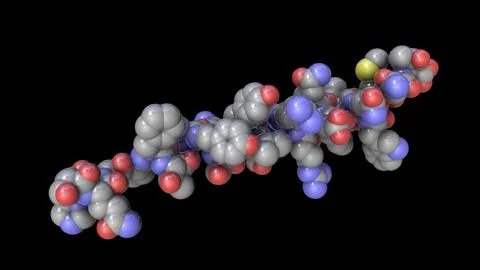 Molecule of the human hormone glucagon Stock Illustration