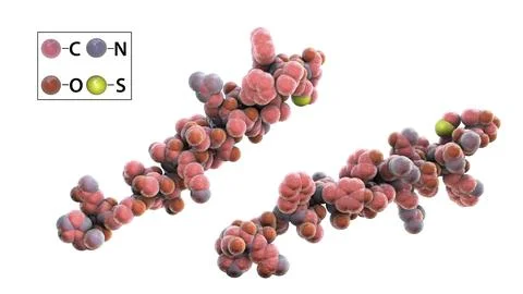 Molecule of the human hormone glucagon Stock Illustration
