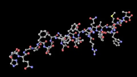 Molecule of the human hormone glucagon Stock Illustration