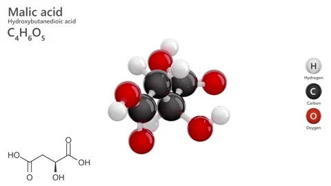 Molecule of Malic acid. E296 Food additive. C4H6O5. White background. 3D render Stock Footage 293568920