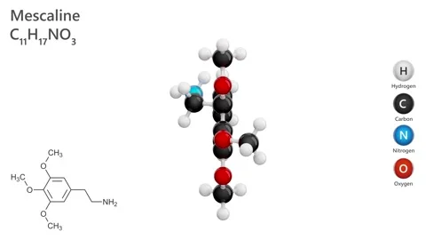 Molecule of Mescaline (C11H17NO3). White back. 3d render Stock Footage 287481591
