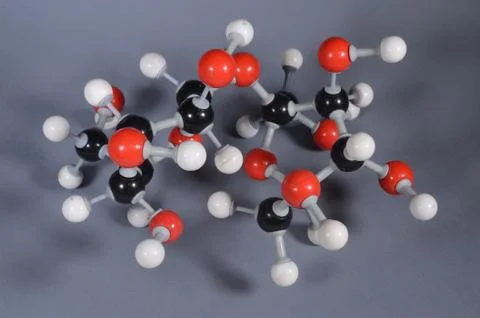 Molecule model of sugar (C12H22O1) 스톡 사진