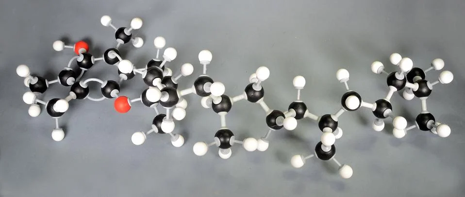 Molecule model of Vitamin E. 写真素材