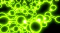 Molecule neon ball and stick model fly through atoms chemistry biology, green HD Footage