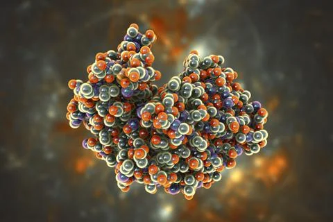 Molecule of pepsin stomach enzyme Stock Illustration