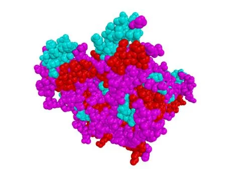 Molecule structure of ebola virus vp40 dimer protein Stock Illustration