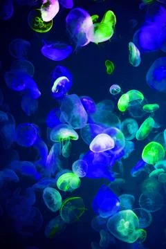 Molecule textured, abstract patterned illustrative wallpaper Stock Illustration