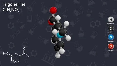 Molecule of Trigonelline (C7H7NO2). Dark back. 3d render Stock Footage 287566299