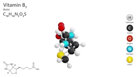 Molecule of Vitamin B7, or biotin (C10H16N4O3S) White back. 3d render Stock Footage 287197829