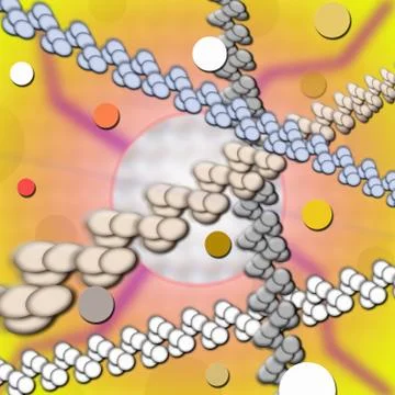 Molecules and atom of organism イラスト素材