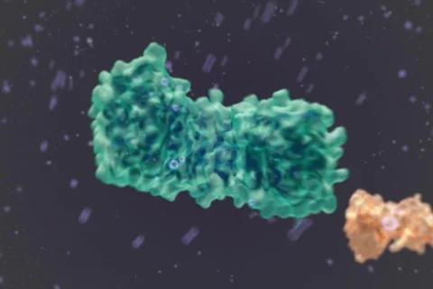 Molecules structure NTSC Stock Footage 492410