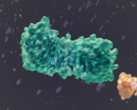 Molecules structure PAL 스톡 동영상 492429