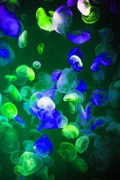 Molecules textured, abstract patterned colorful illustration, stylish background Stock Illustration