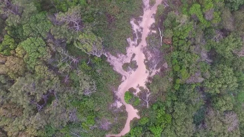 Moliets Wald von Oben Video stock 77601644
