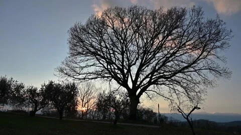 Molise, winter landscape 03 Stock Footage 234012436