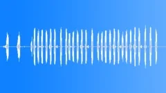 Mollucan Cockatoo CallsSound Effect
