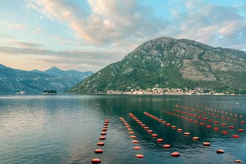 Molluscan Shellfish farming Stock Photos