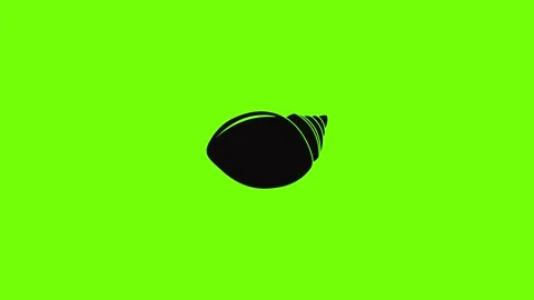 Mollusks Shell icon animation Stock Footage 157503832