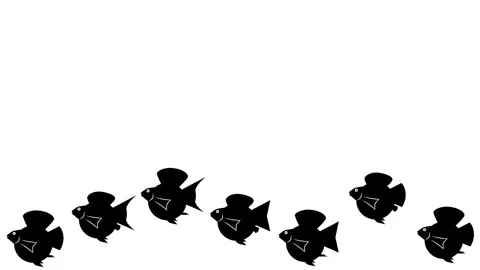 Molly fish jumping animation Stock Footage 314295475