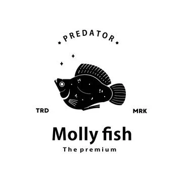 Molly fish logo vector outline silhouette art icon Stock Illustration