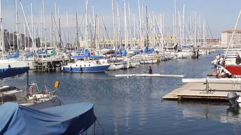 Molo di Trieste Stock Footage 80788055