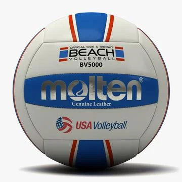 Molten Beach USA Volleyball 3D Model
