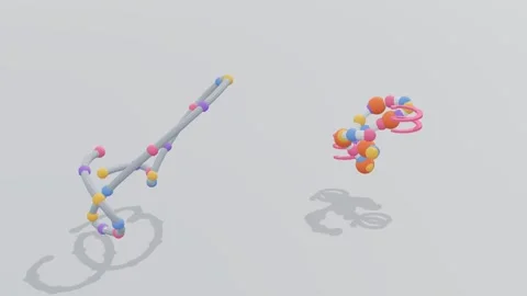 Molten globule protein folding 3d loop white background 3D animation seamless 스톡 동영상 341850774