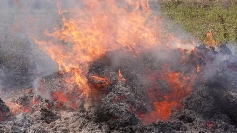 Molten Lava Flow 스톡 동영상 333912117