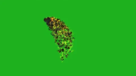 Molten lava stream motion graphics with green screen background Stock Footage 150651944
