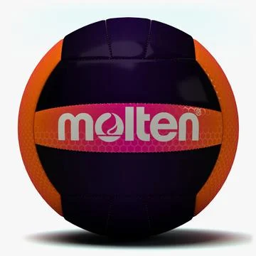 Molten Recreational Volleyball 