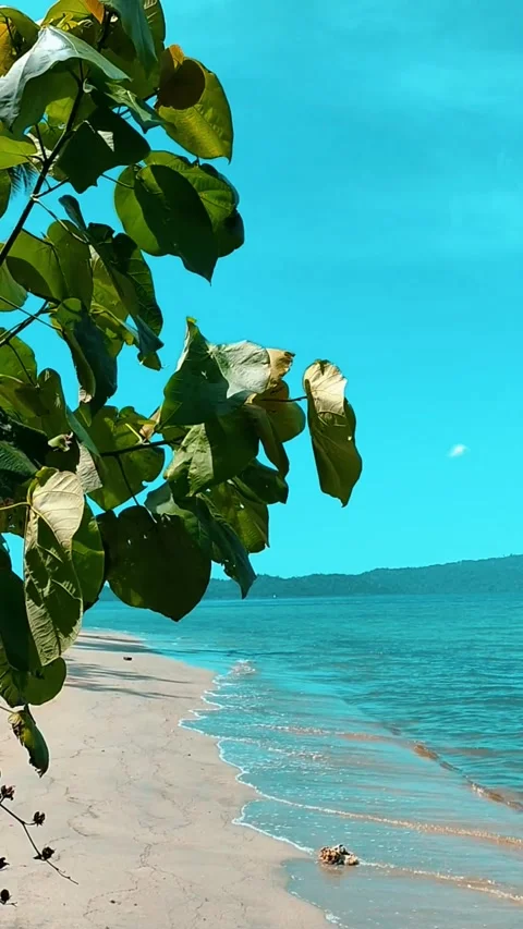Molui beach Stock Footage 287287257