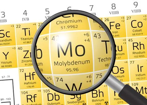 Molybdenum from Periodic Table of the Elements with magnifying glass 스톡 일러스트