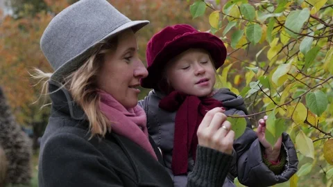Mom and daughters playing in the park, mom showing daughters leaves on a tree Stock-Footage 80700433